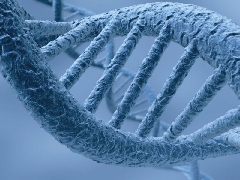 Шведские ученые открыли ген инсульта