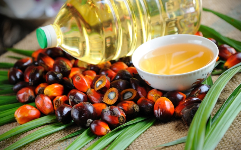Пальмовое масло: польза или вред