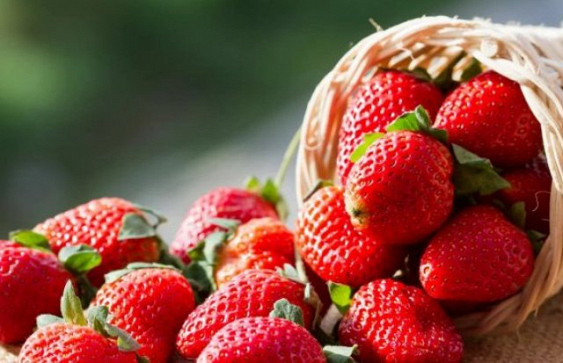 Медики назвали самый опасный для здоровья фрукт