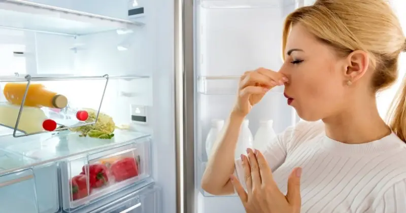 Навіщо класти крейду в холодильник: ефективний лайфхак