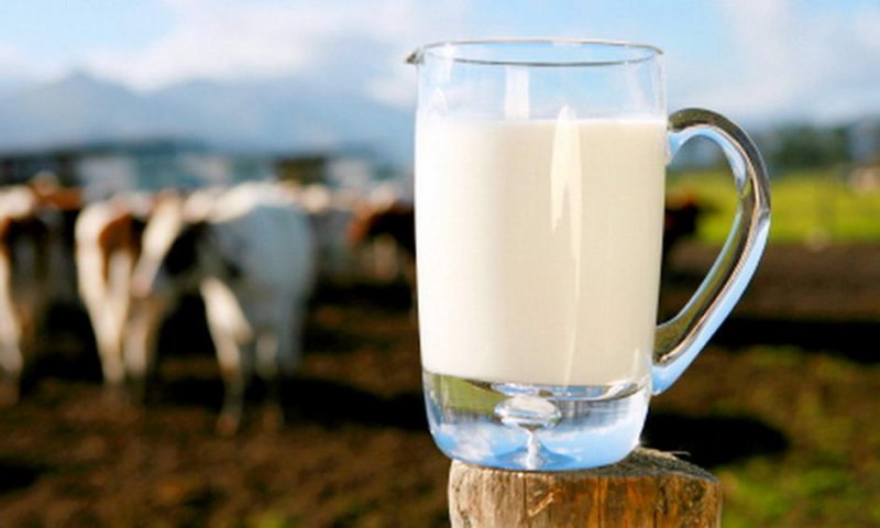 10 фактов о молоке, которые могут испугать