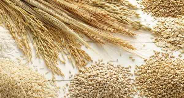 Семь порций продуктов из цельного зерна каждый день защитят от рака и диабета