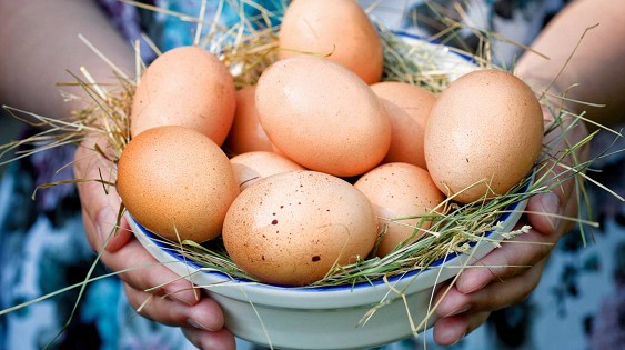 Одно яйцо в день снижает риск инсульта на 12%