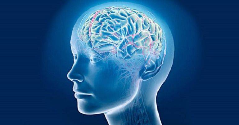 Как улучшить работу мозга без лекарств: медики дали ответ