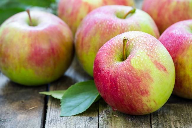 Специалисты развеяли популярный миф о правильном питании и пользе яблок